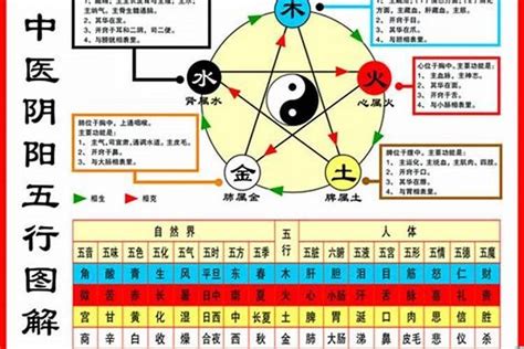 1984年五行属什么|84年属鼠什么五行 84年属鼠的五行是属什么